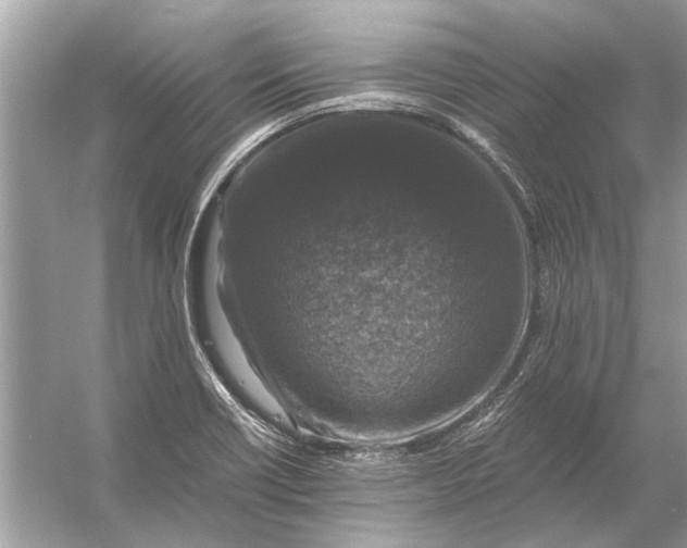 X0000056001418200509162306