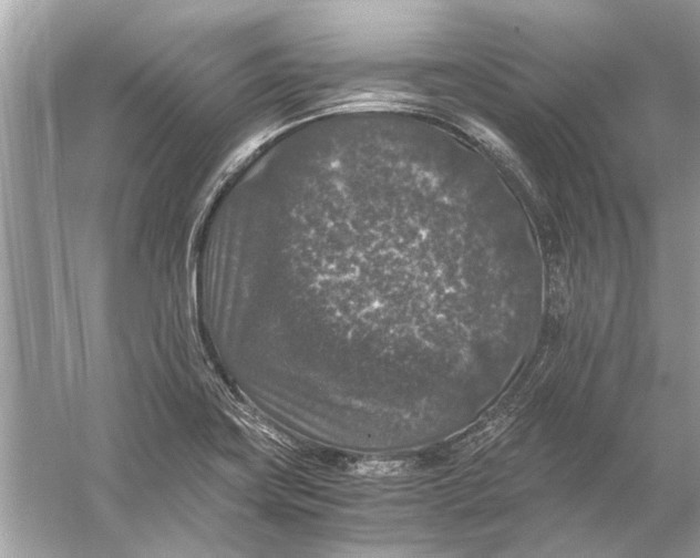 X0000056001419200509162306