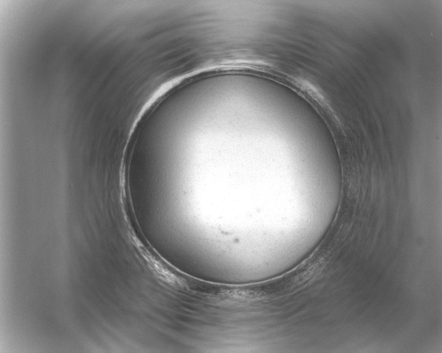 X0000056001420200509162306