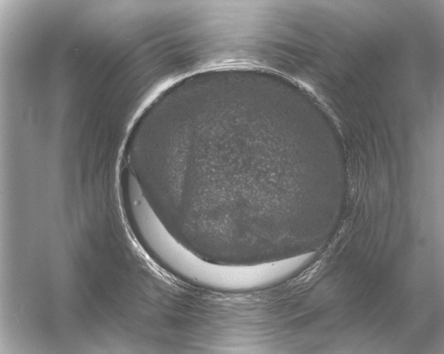 X0000056001422200509162306