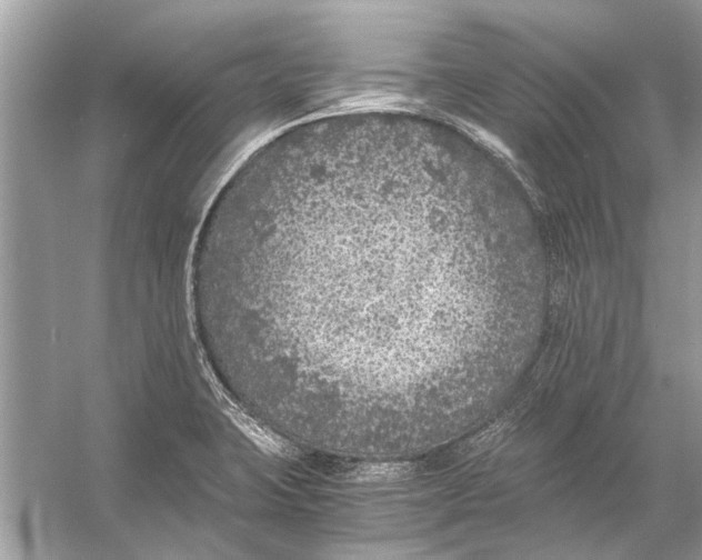 X0000056001423200509162306