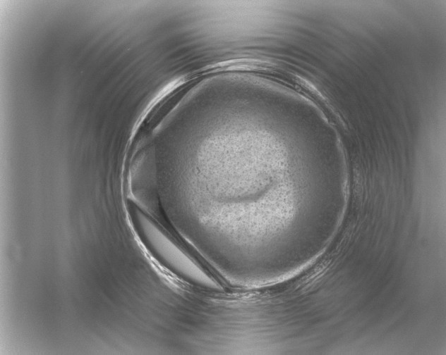 X0000056001426200509162306