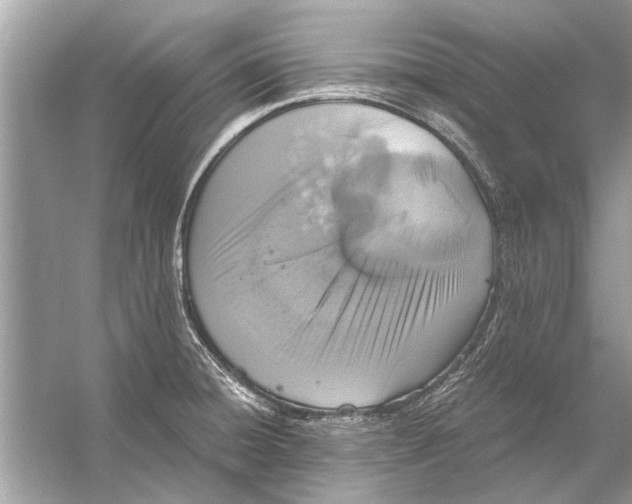 X0000056001428200509162306