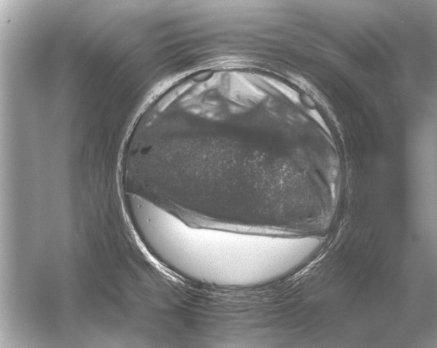 X0000056001429200509162306