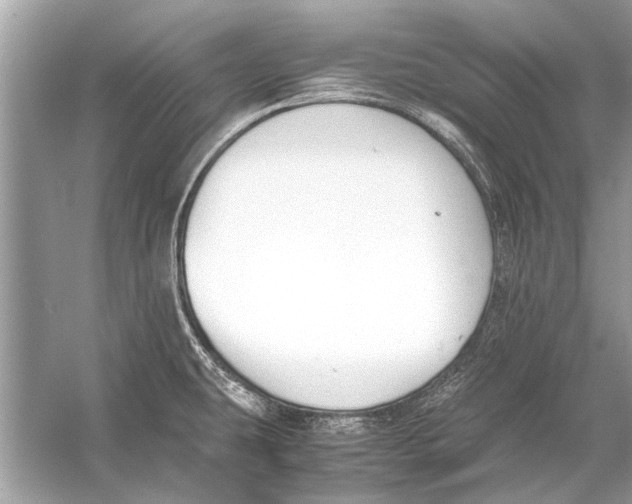 X0000056001431200509162306