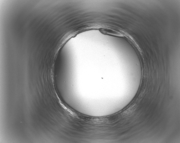 X0000056001433200509162306