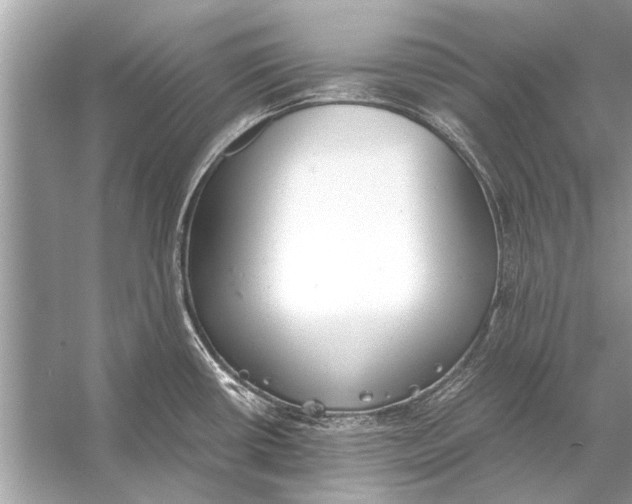 X0000056001434200509162306