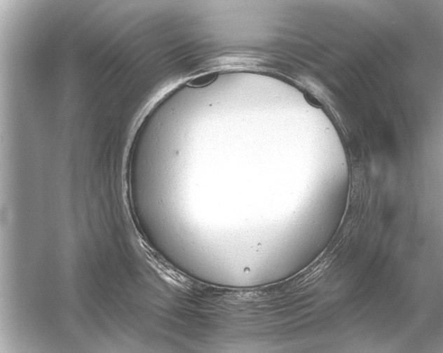 X0000056001435200509162306