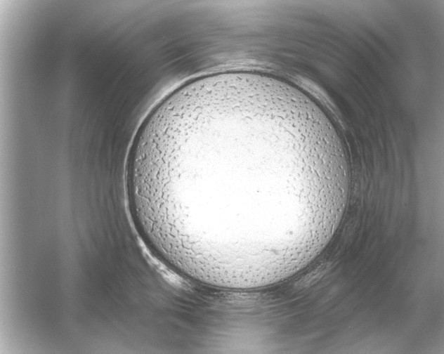 X0000056001439200509162306