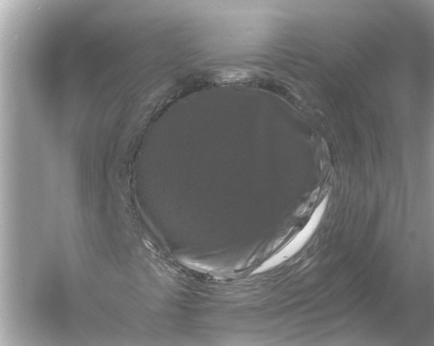 X0000056001441200509162305