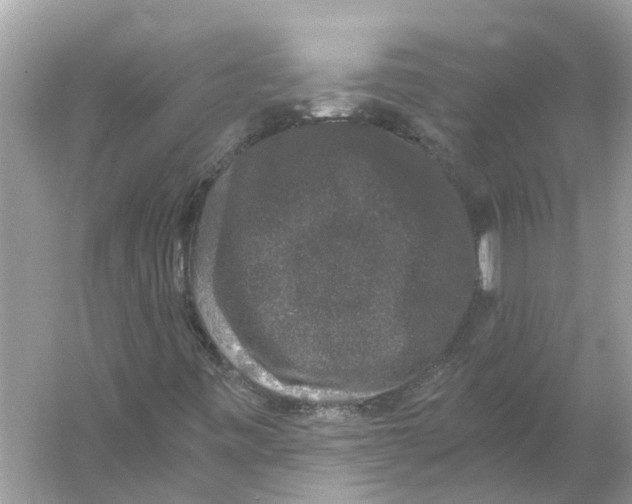 X0000056001443200509162305