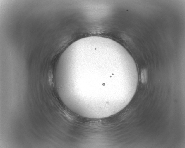 X0000056001444200509162305