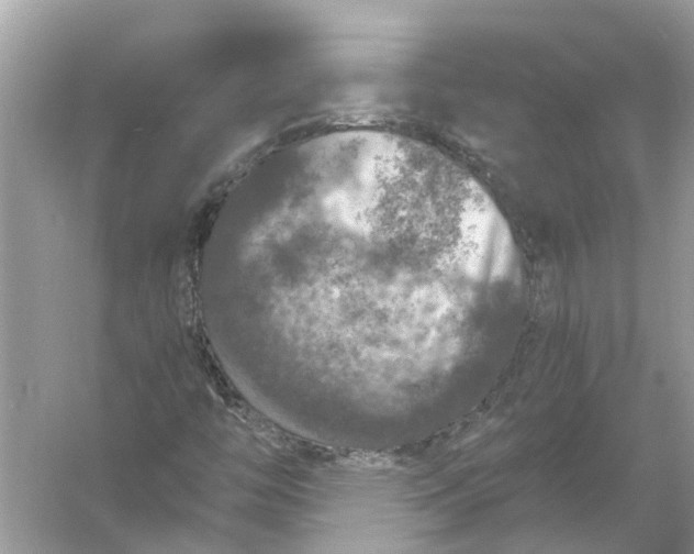 X0000056001446200509162305