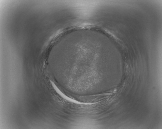 X0000056001447200509162305