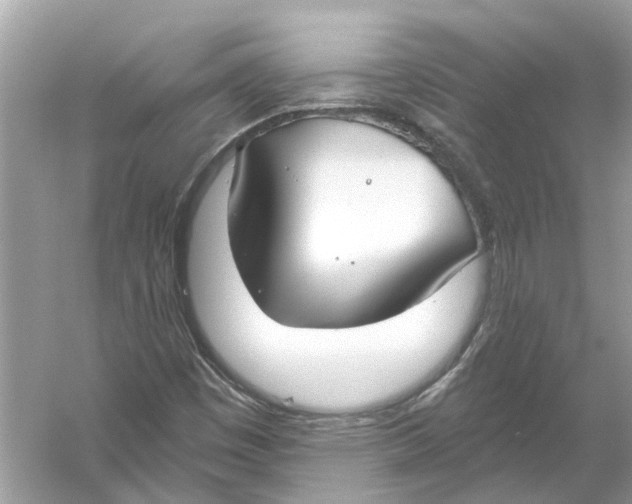 X0000056001449200509162305