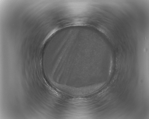 X0000056001450200509162305