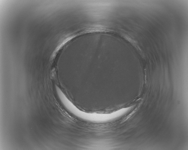 X0000056001453200509162305