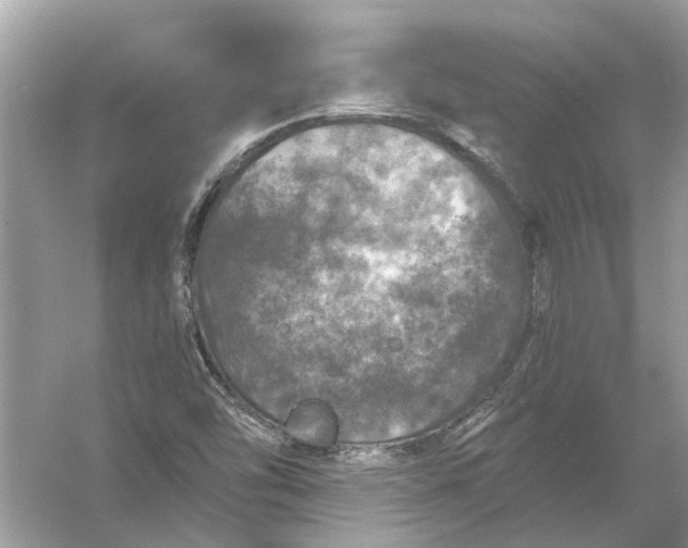 X0000056001454200509162305