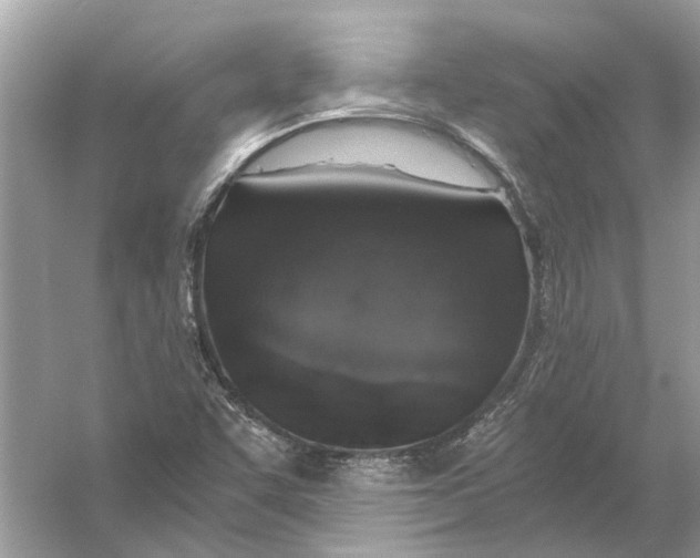 X0000056001455200509162305