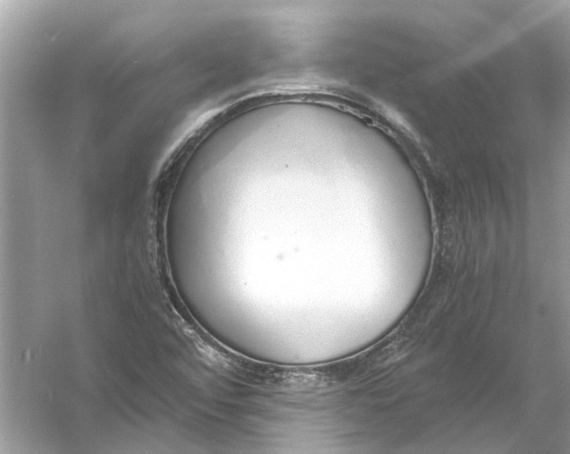 X0000056001456200509162305