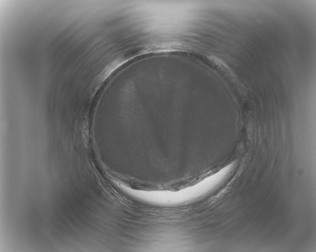 X0000056001457200509162305