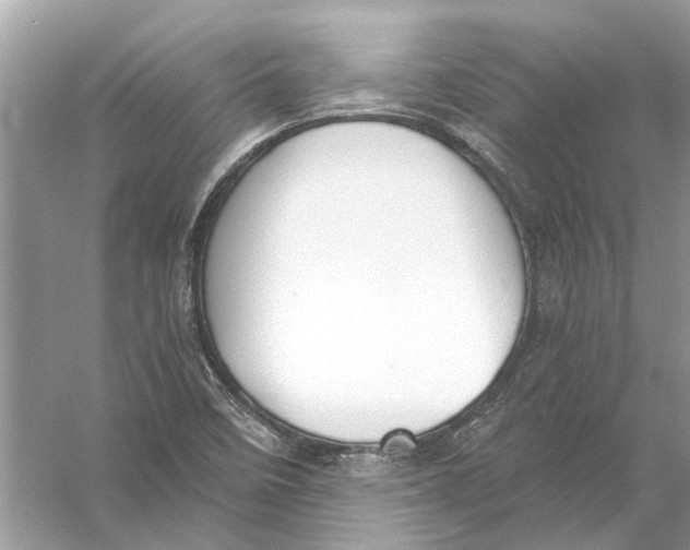 X0000056001458200509162305