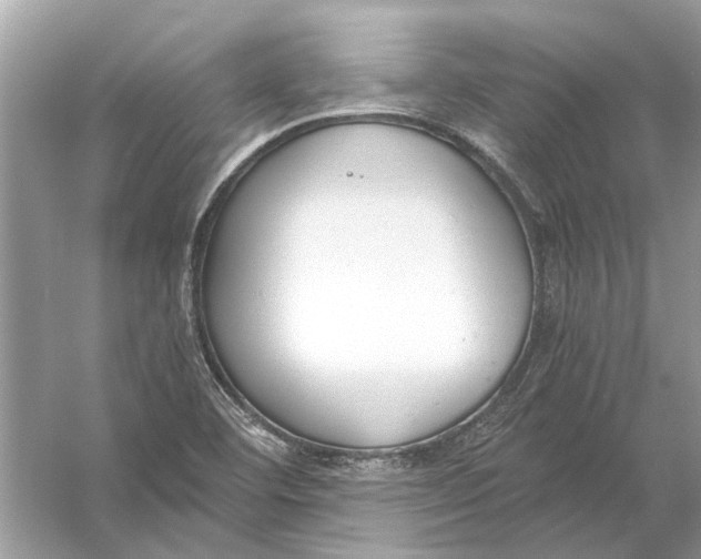 X0000056001460200509162305