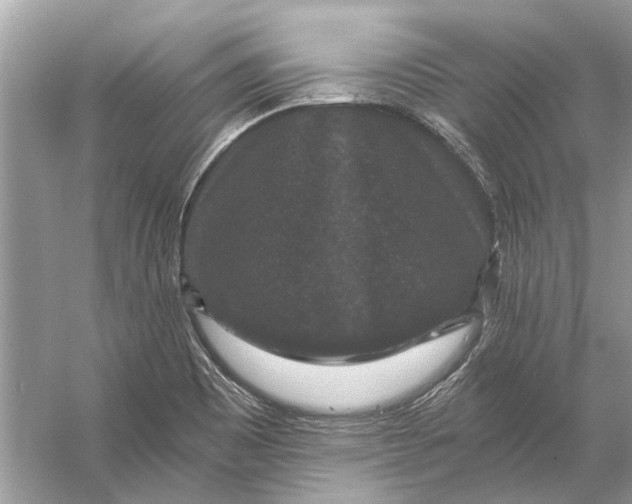 X0000056001465200509162305