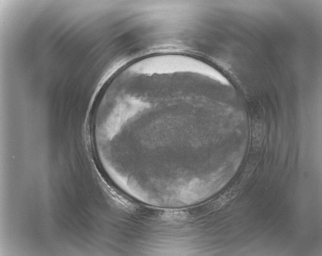 X0000056001466200509162305