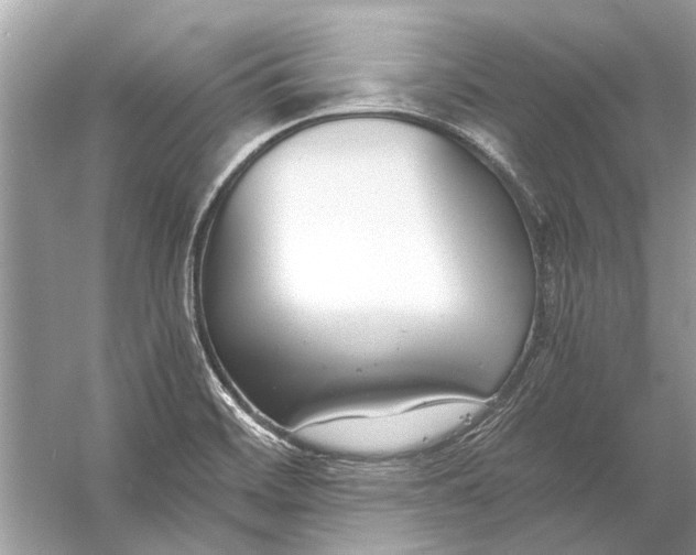 X0000056001468200509162305