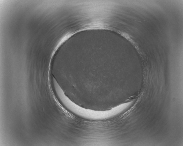 X0000056001469200509162305