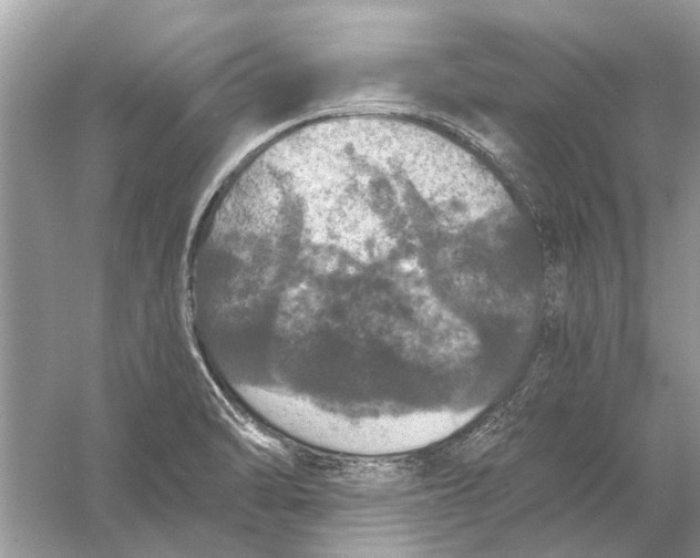 X0000056001470200509162305