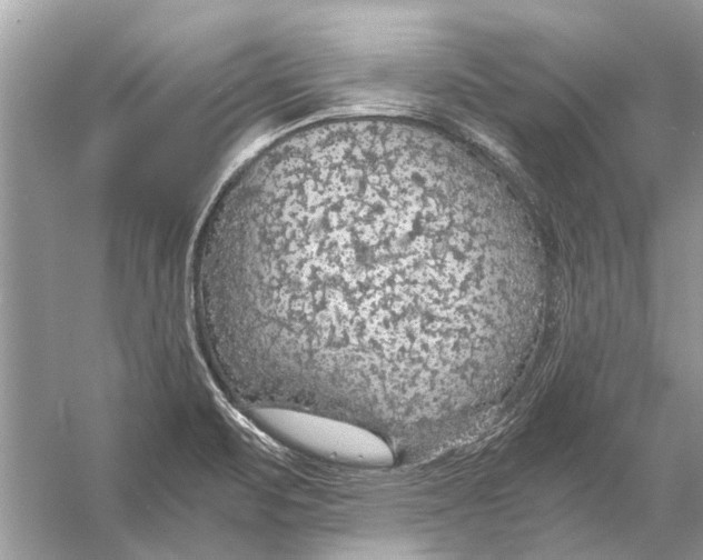 X0000056001471200509162305