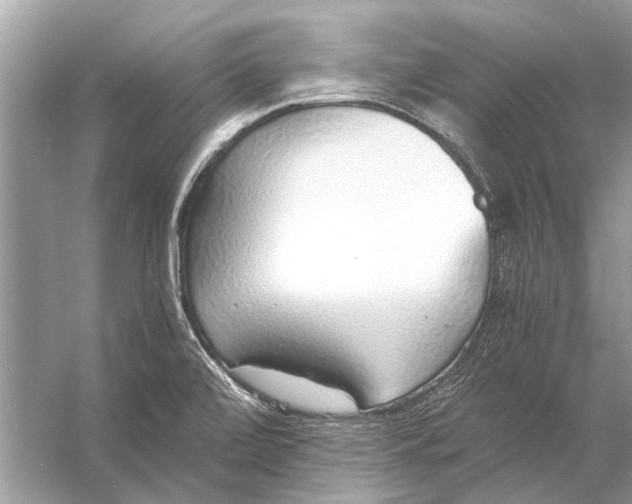 X0000056001472200509162305