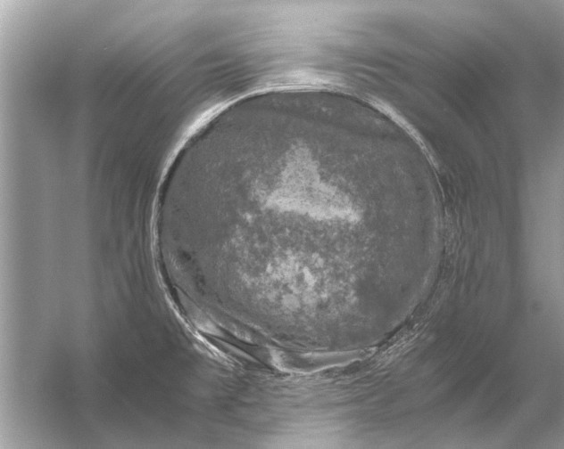 X0000056001477200509162305