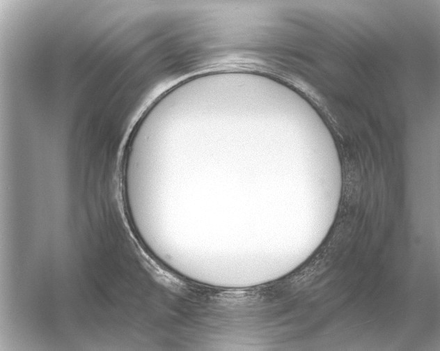 X0000056001478200509162305