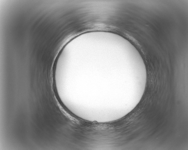 X0000056001479200509162305