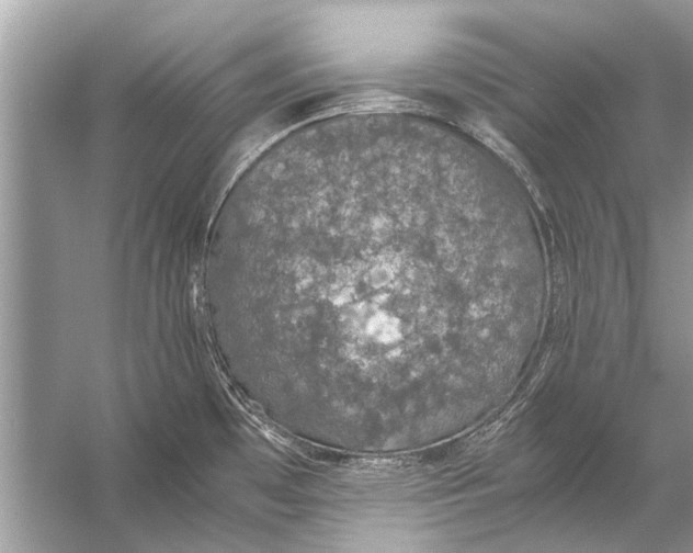 X0000056001481200509162305