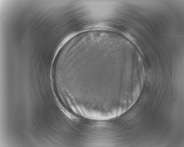 X0000056001482200509162305