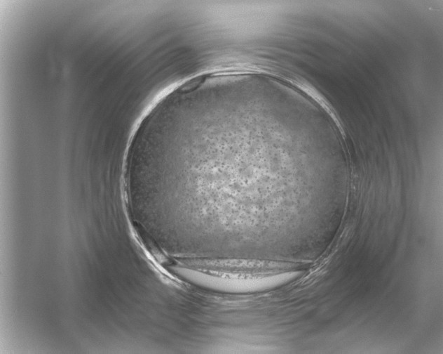 X0000056001485200509162304