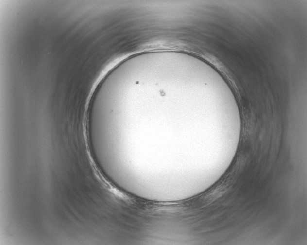 X0000056001486200509162304