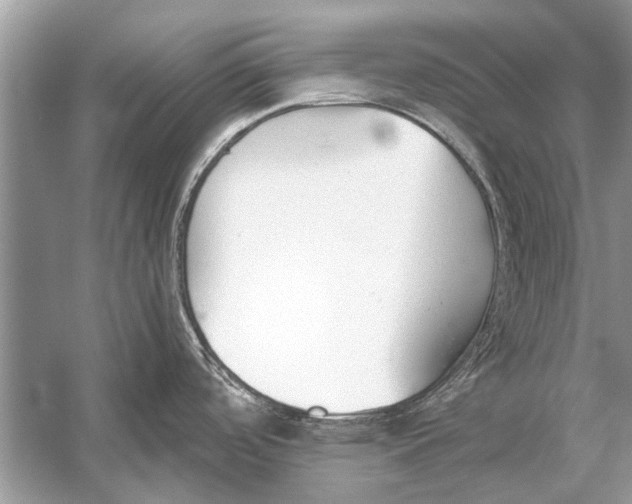 X0000056001488200509162304