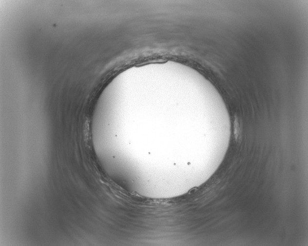 X0000056001492200509162304