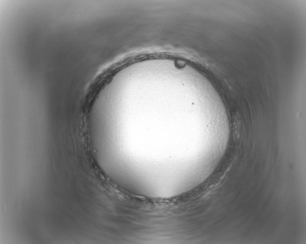 X0000056001494200509162304