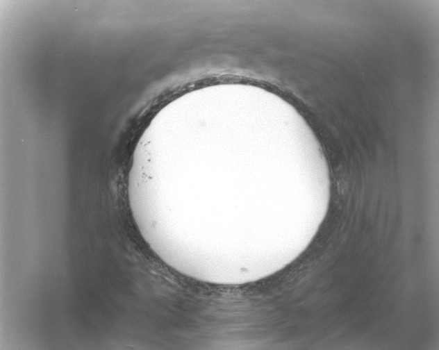 X0000056001495200509162304