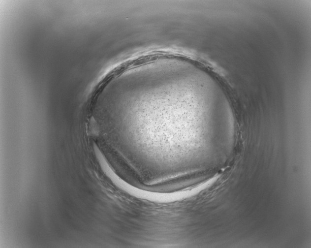 X0000056001496200509162304