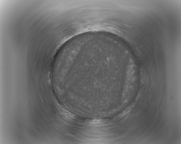 X0000056001497200509162304