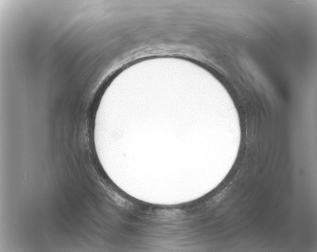 X0000056001498200509162304