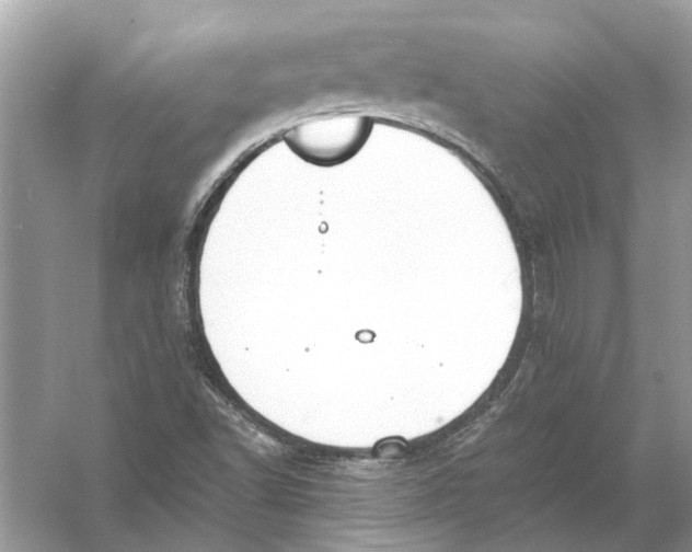 X0000056001502200509162304