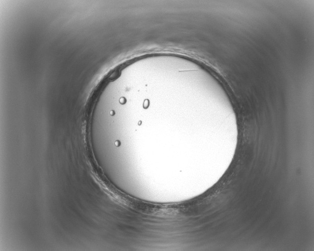 X0000056001503200509162304